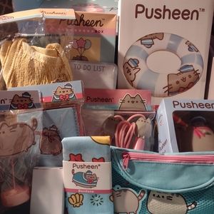Pusheen Box